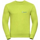 color:lime